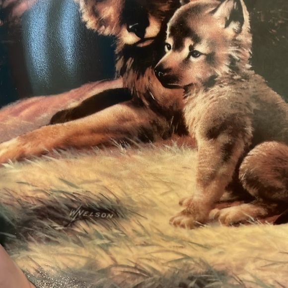 The Red Wolf Will Nelson Vintage Last of Their Kind: Endangered Species Plate - Picture 12 of 16